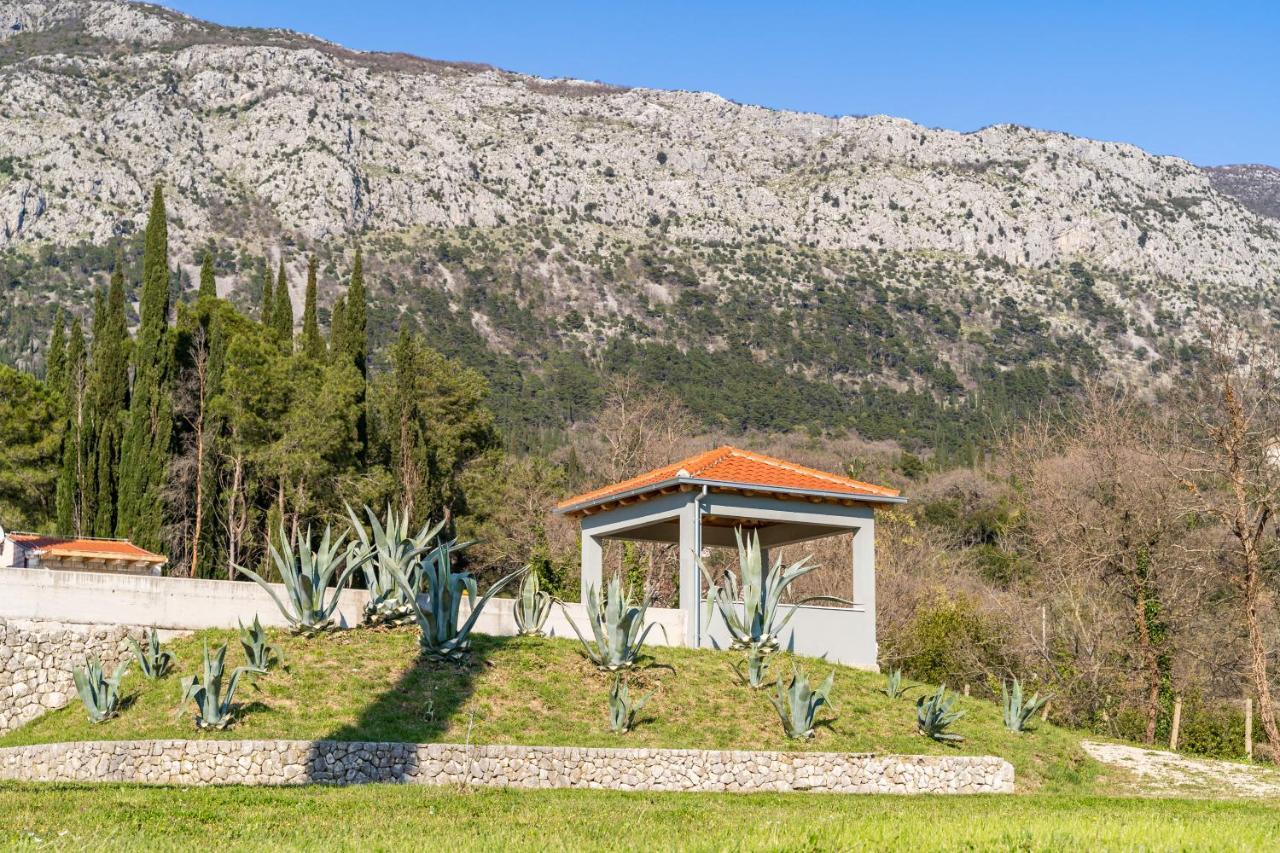 Villa Agave Gruda Dış mekan fotoğraf