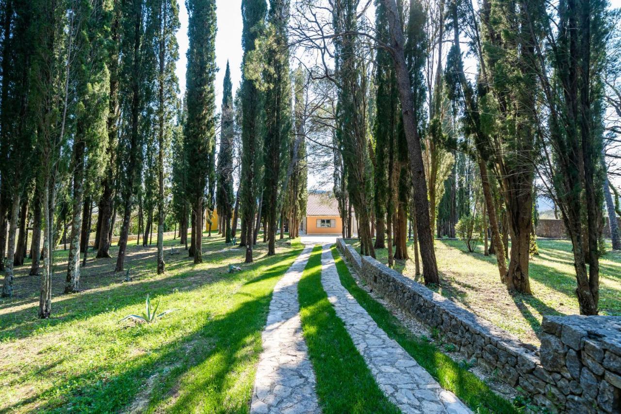 Villa Agave Gruda Dış mekan fotoğraf