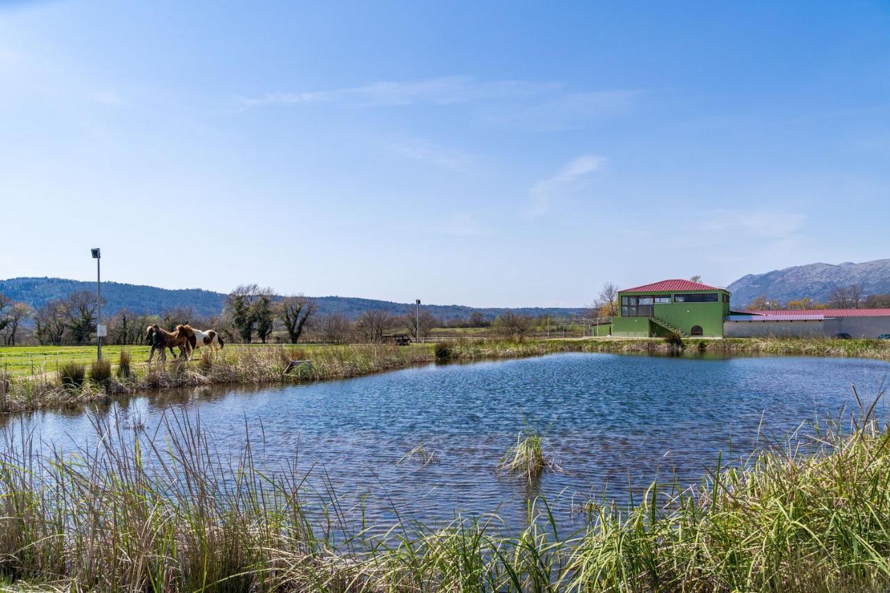 Villa Agave Gruda Dış mekan fotoğraf