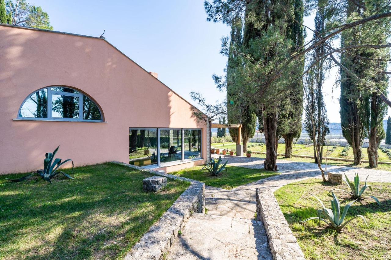 Villa Agave Gruda Dış mekan fotoğraf